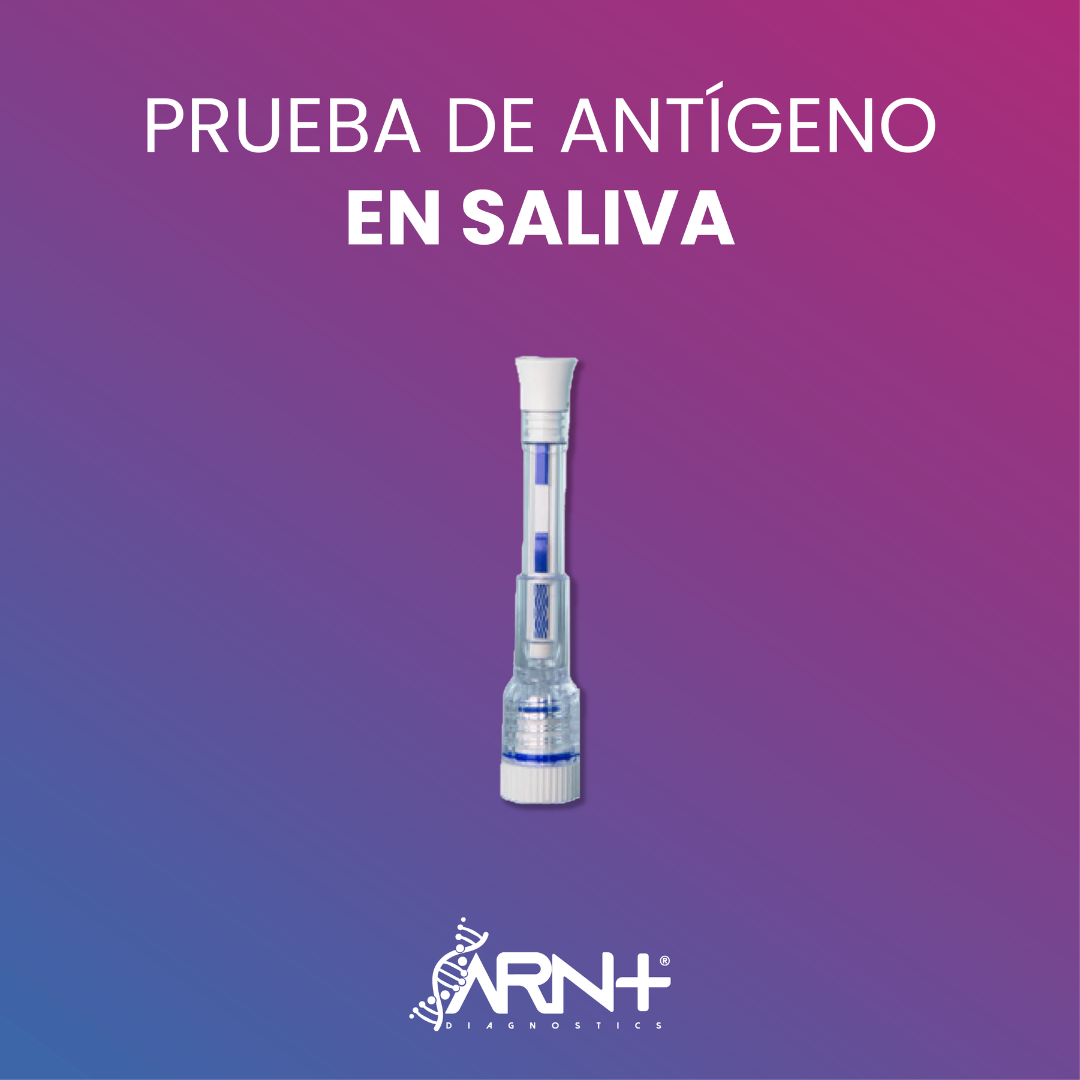 KIT BASIC - Saliva