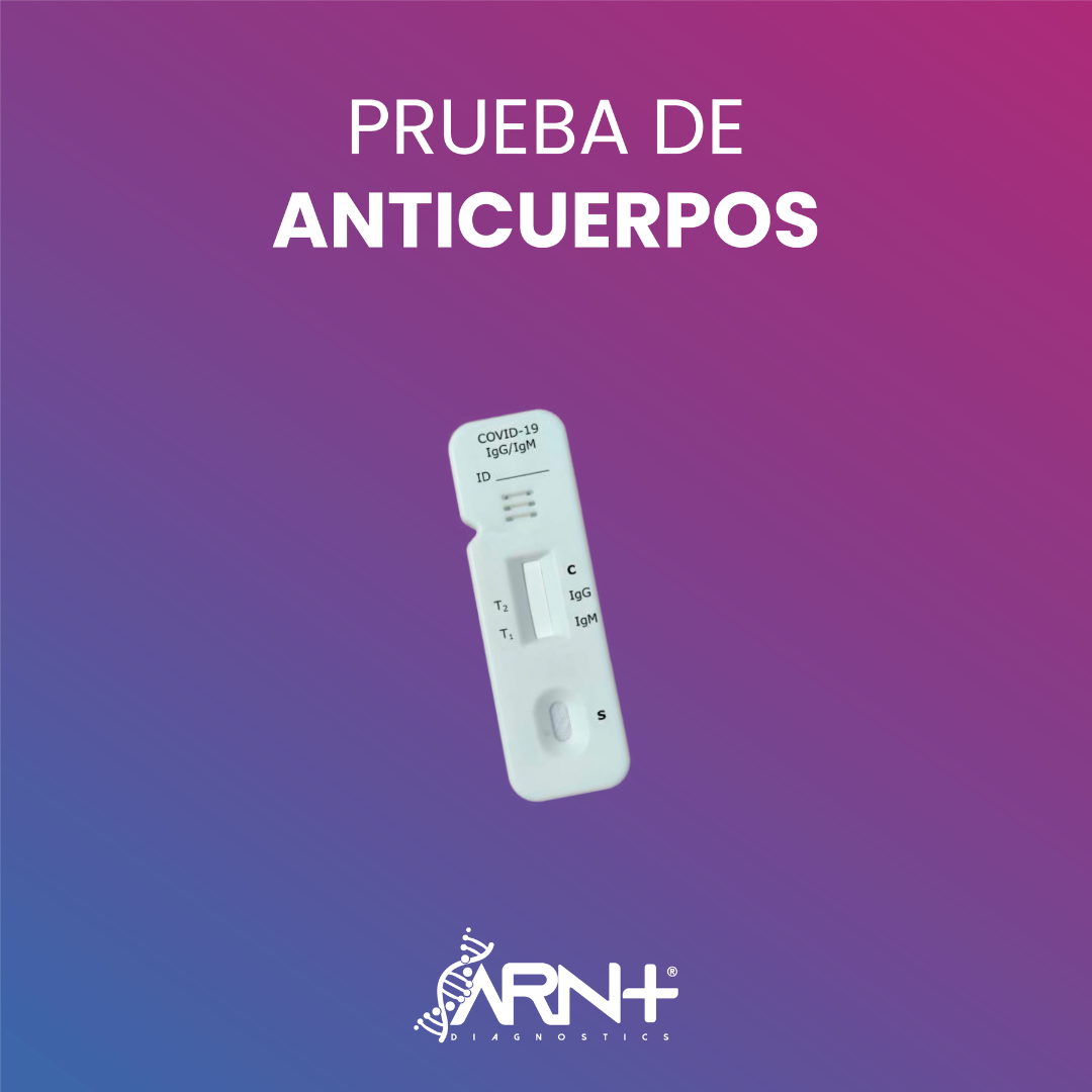 KIT BASIC - Anticuerpos